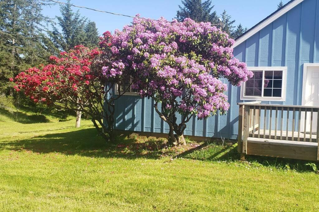 Coastal Charm: Sw Oregon Home On 2+ Quiet Acres Carpenterville Bagian luar foto